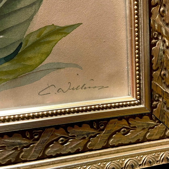 MCM Calla Lily print, C. Williams signed in gold-leaf frame - Picture 2 of 3